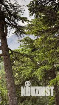 2-к квартира, посуточно, 61м2, 4/4 этаж