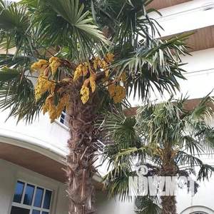 2-к квартира, посуточно, 43м2, 1/1 этаж
