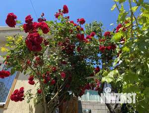 1-к квартира, посуточно, 30м2, 1/1 этаж