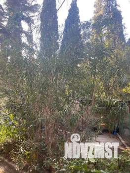 3-к квартира, посуточно, 70м2, 1/2 этаж