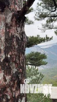 1-к квартира, посуточно, 18м2, 1/2 этаж