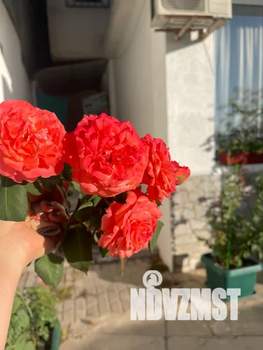 1-к квартира, посуточно, 40м2, 1/5 этаж