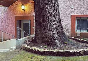 Студия квартира, на длительный срок, 18м2, 1/2 этаж