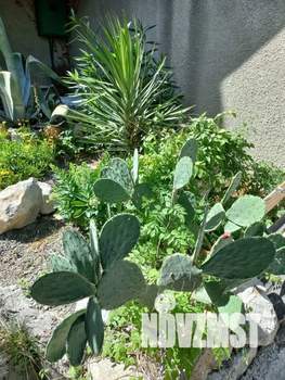 1-к квартира, посуточно, 24м2, 1/3 этаж