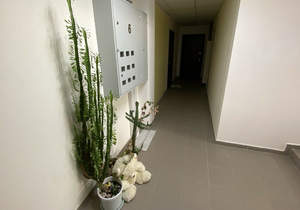 1-к квартира, вторичка, 40м2, 6/8 этаж