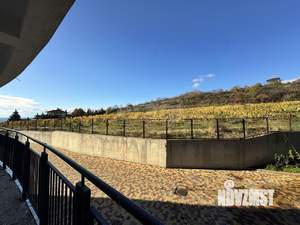 Студия квартира, вторичка, 60м2, 3/12 этаж