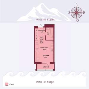 Студия квартира, вторичка, 31м2, 3/16 этаж