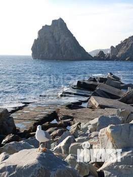 Студия квартира, вторичка, 35м2, 2/3 этаж