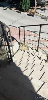 3-к квартира, вторичка, 87м2, 1/14 этаж