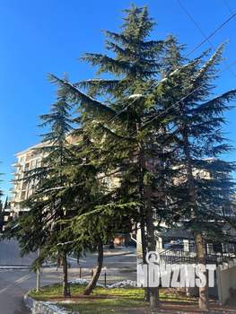 1-к квартира, вторичка, 42м2, 4/8 этаж