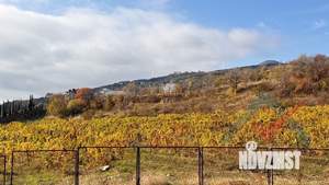 Студия квартира, вторичка, 31м2, 2/12 этаж