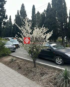 1-к квартира, вторичка, 34м2, 1/5 этаж