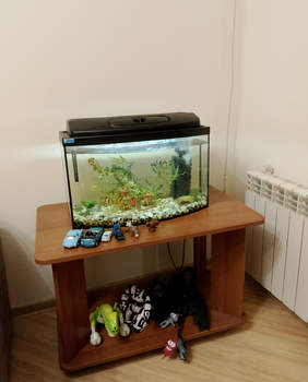 2-к квартира, вторичка, 50м2, 4/5 этаж