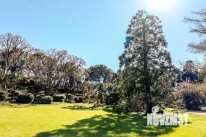 2-к квартира, вторичка, 89м2, 6/8 этаж