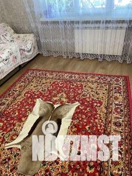 3-к квартира, вторичка, 77м2, 2/9 этаж