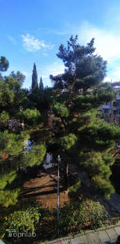 1-к квартира, вторичка, 37м2, 4/5 этаж