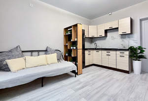 1-к квартира, вторичка, 33м2, 1/16 этаж