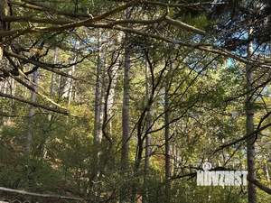 3-к квартира, вторичка, 76м2, 1/1 этаж