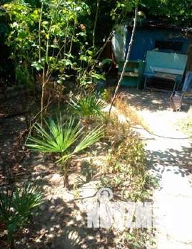 3-к квартира, вторичка, 35м2, 1/2 этаж