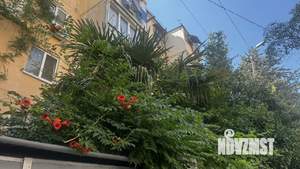 3-к квартира, вторичка, 56м2, 2/5 этаж