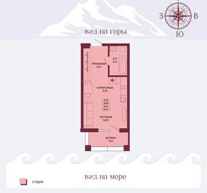 Студия квартира, вторичка, 31м2, 1/17 этаж