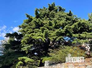 1-к квартира, вторичка, 37м2, 7/7 этаж