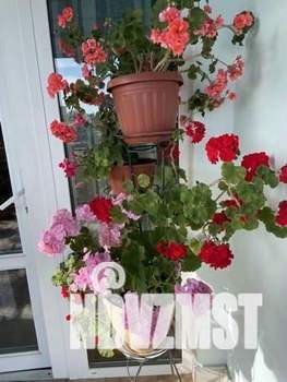 3-к квартира, вторичка, 77м2, 2/9 этаж