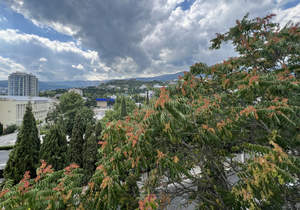 3-к квартира, вторичка, 80м2, 5/5 этаж